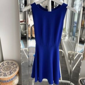 American apparel skater dress blue